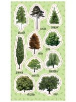 NAKLEJKI PAPIEROWE DRZEWA 10160687 wym. blistra 8x15cm*0938*