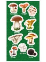 NAKLEJKI PAPIEROWE GRZYBY JADALNE 10160802 wym. blistra 8x15cm*3069*
