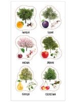 NAKLEJKI PAPIEROWE POLSKI SAD 10160812 wym. blistra 8x15cm*3151*