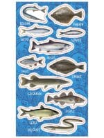 NAKLEJKI PAPIEROWE RYBY BAŁTYCKIE 10160719 wym. blistra 8x15cm*1928*