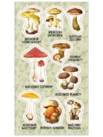 NAKLEJKI PAPIEROWE TRUJĄCE GRZYBY 10160802 wym. blistra 8x15cm*3052*