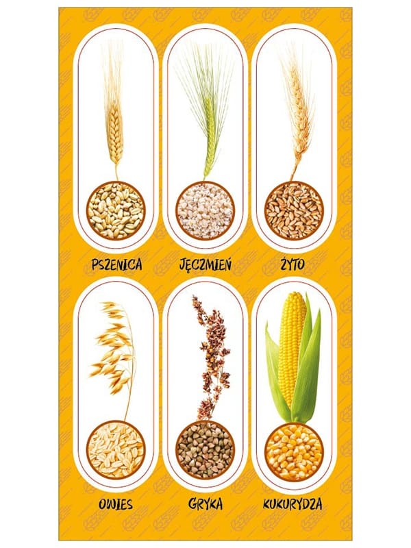 NAKLEJKI PAPIEROWE ZBOŻA 10160806 wym. blistra 8x15cm*3090* NAKLEJKI PAPIEROWE ZBOŻA 10160806 wym. blistra 8x15cm*3090* - obrazek 1