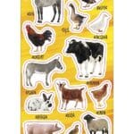 NAKLEJKI PAPIEROWE ZWIERZĘTA DOMOWE 10160704 wym. blistra 8x15cm*1775*