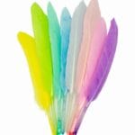 Piórka pastelowe P-3240 15cm/40szt*3240*