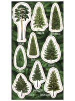 Zestaw naklejek do ozdoby zeszytów, albumów, listów, pocztówek ...9 naklejek dzrewa iglaste z opisam