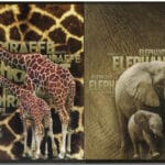 PROMO Brulion A5 160 kartek, kratka mix kolorów bez marginesów *1251*