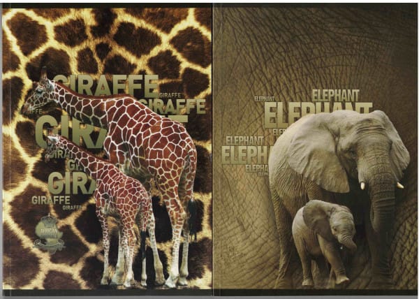 PROMO Brulion A5 160 kartek, kratka mix kolorów bez marginesów *1251* PROMO Brulion A5 160 kartek, kratka mix kolorów bez marginesów *1251* - obrazek 1