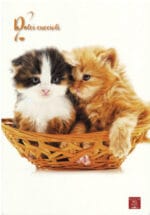 ZESZYT W LINIE A4 40 kartek bez marginesu PIGNA*0411*