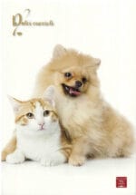 ZESZYT W LINIE A4 40 kartek bez marginesu PIGNA*0411* - obrazek 3