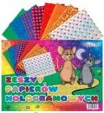 Zestaw papierów holograficznych ZPH-2931 B5 *2931*