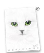 PROMO Zeszyt A4 38 kartek czarna kratka Pigna Monocromo White 0230791Q *6071* - obrazek 5