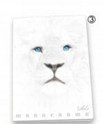 PROMO Zeszyt A4 38 kartek czarna kratka Pigna Monocromo White 0230791Q *6071* - obrazek 4