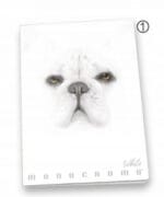 PROMO Zeszyt A4 38 kartek czarna kratka Pigna Monocromo White 0230791Q *6071* - obrazek 2