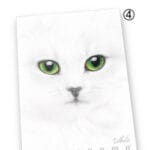 PROMO Zeszyt A4 38 kartek linia Pigna Monocromo White 0230791C *6033*