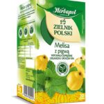Herbata HERBAPOL Zielnik Polski, 20 torebek, melisa z pigwą