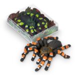 Gumka do ścierania tarantula TRENDHAUS ZOO, mix kolorów (opakowanie 18 szt.)