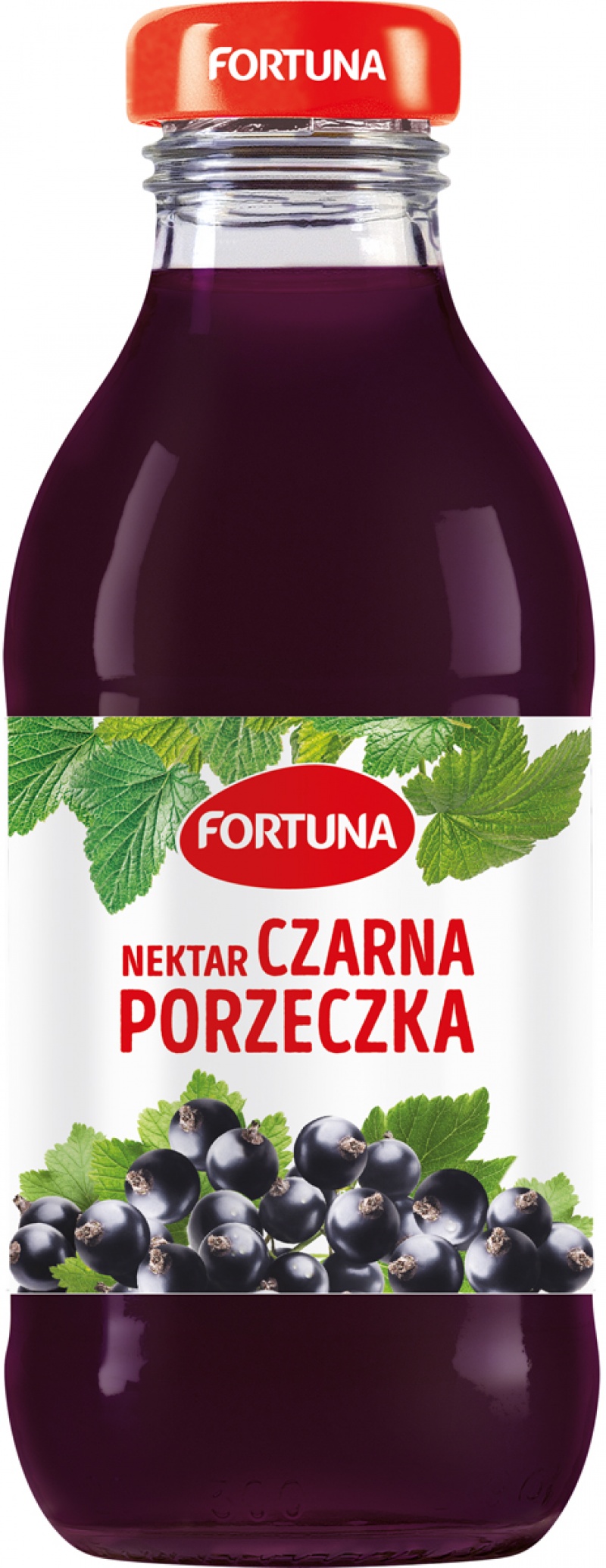 400707-411473-nektar_fortuna_czarna_porzeczka_szklo_0_3l-800w Nektar FORTUNA, czarna porzeczka, szkło, 0,3l (opakowanie 15 szt.) - obrazek 1