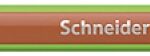 Cienkopis SCHNEIDER Line-Up, 0,4mm, jasnobrązowy (opakowanie 10 szt.)