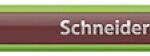 Cienkopis SCHNEIDER Line-Up, 0,4mm, ciemnobrązowy (opakowanie 10 szt.)