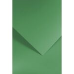 KARTON FORMAT A4 160G CIEMNOZIELONY 100 ARKUSZY nr 230*4509*2330*